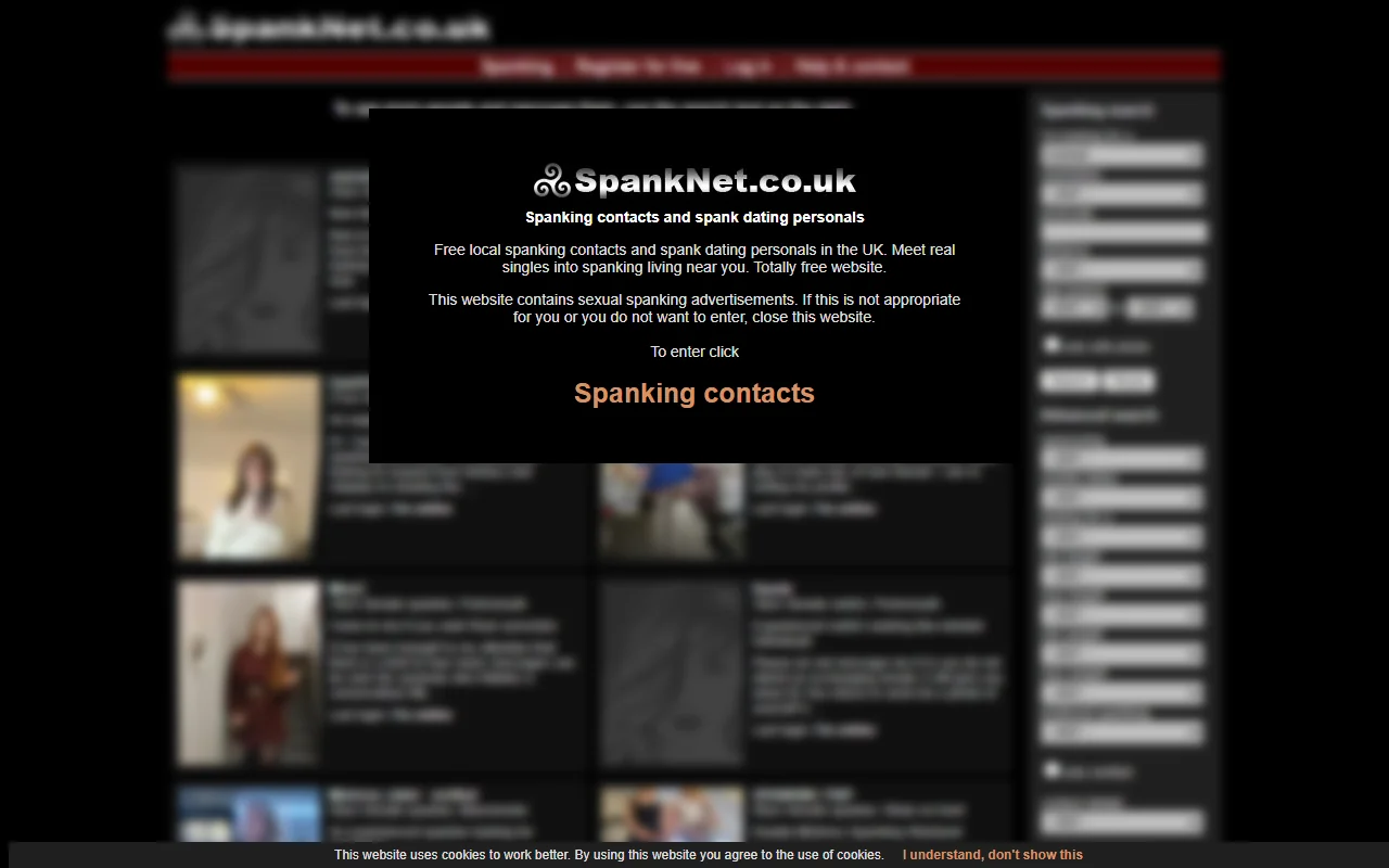 Screenshot of Spanknet